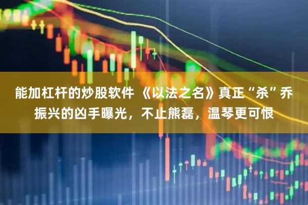 能加杠杆的炒股软件 《以法之名》真正“杀”乔振兴的凶手曝光，不止熊磊，温琴更可恨